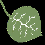 aspenappliancerepairofcastlerock.com